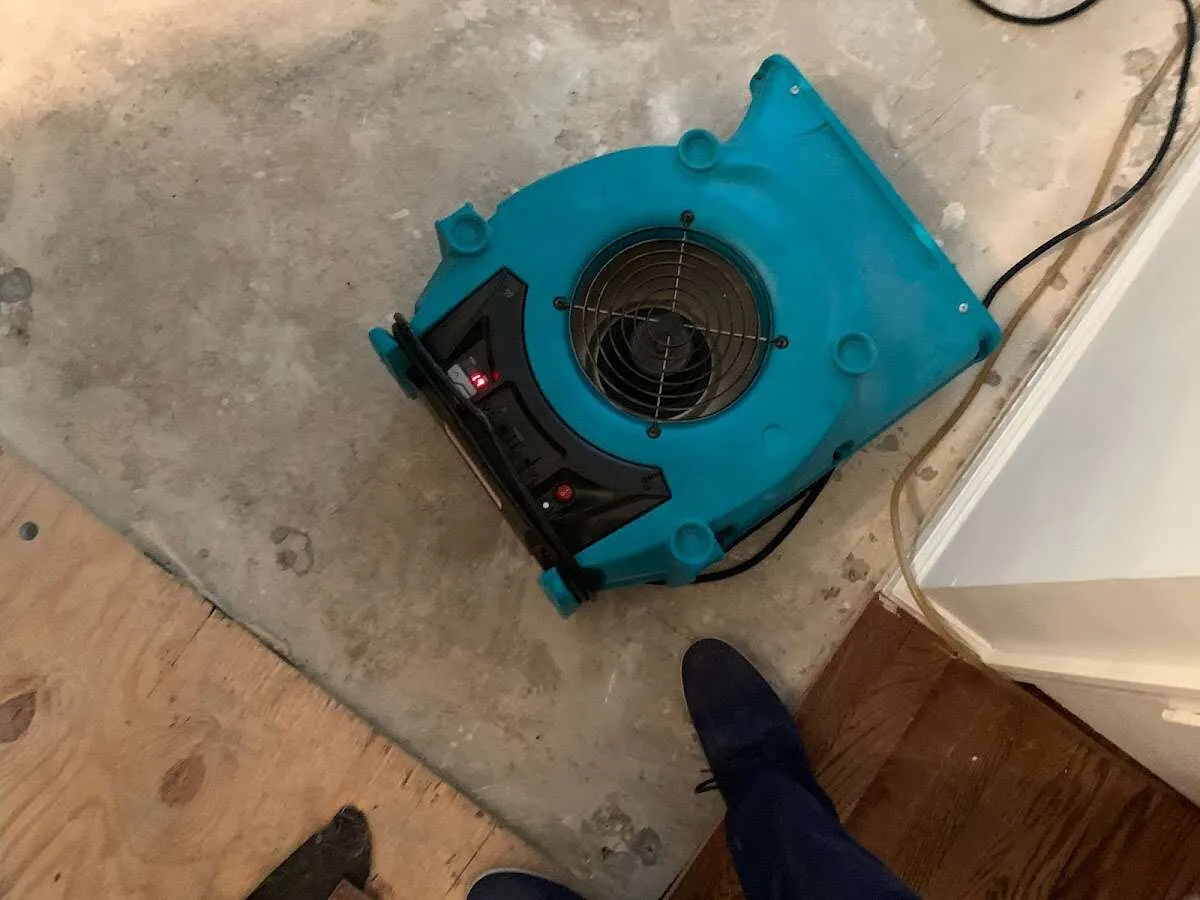 Air mover drying subfloor during Commercial Water Damage Restoration in Scotia